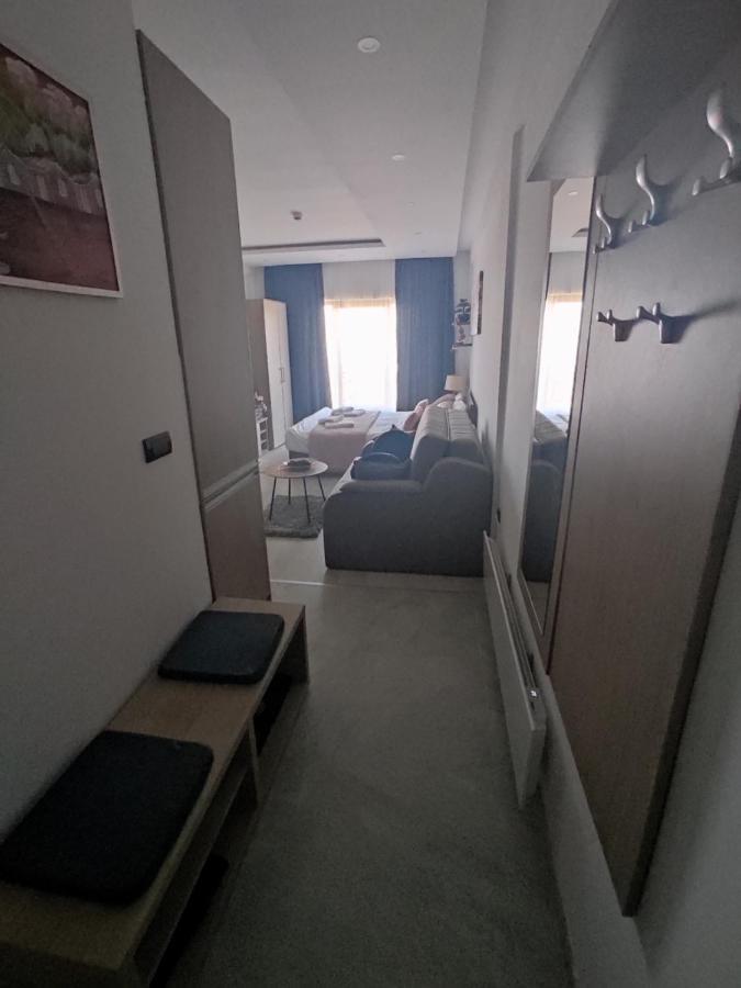 Apartman Mountain View Milmari Resort Kopaonik Exterior foto